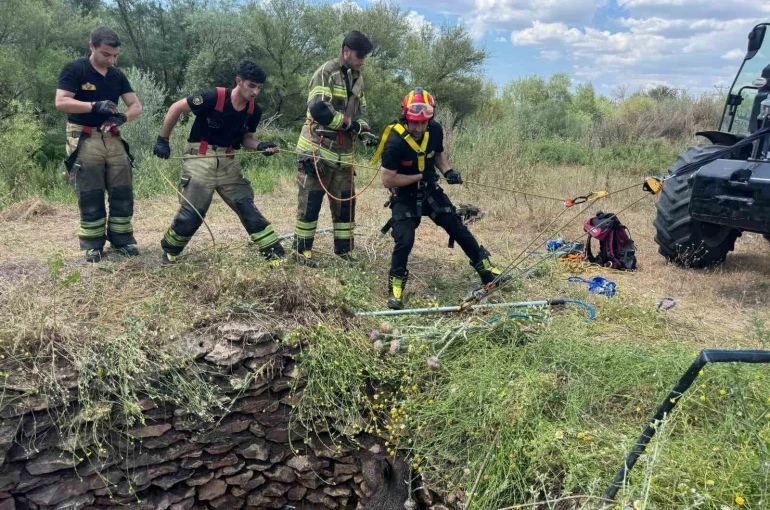 Su kuyusuna düşen yaban domuzu, itfaiye ekiplerince kurtarıldı