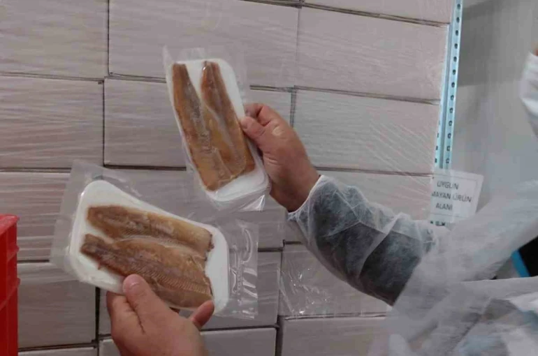 Su ürünleri üretimi yapılan tesislerde denetim 