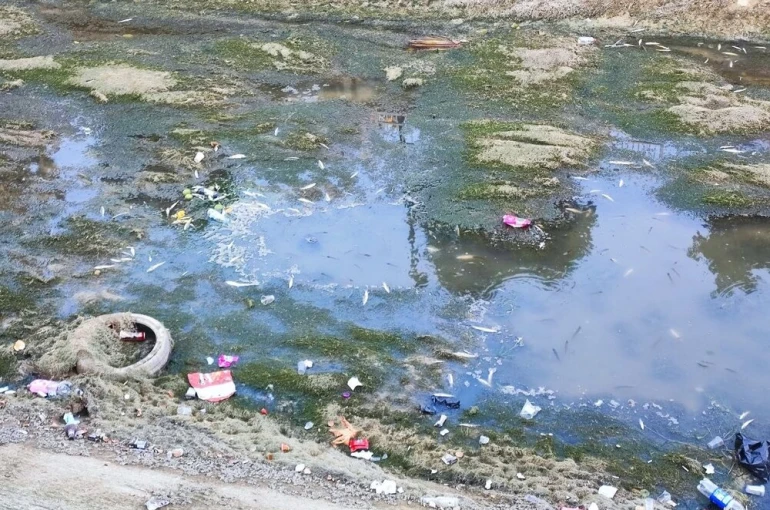 Sulama kanalındaki balıklar telef olmaya devam ediyor 