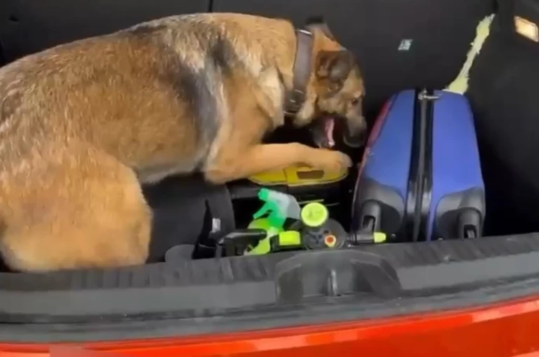 Süpürgeye zulalanmış uyuşturucu ele geçirildi 