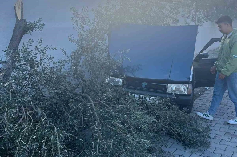 Süratli otomobil önce ağaca sonra duvara çarptı 