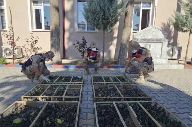 Suriye’ye geçirilmek istenen 2 bin 114 saka kuşuna 19 milyon 871 bin TL ceza