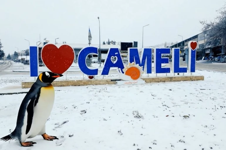 Sürüden ayrılan nihilist penguen Çameli’ye uğradı 