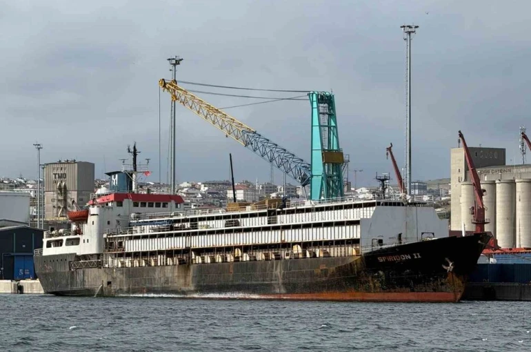 Tahliye yasağı, telef olan hayvanlar ve kötü koku: Spiridon 2 krizi derinleşiyor 