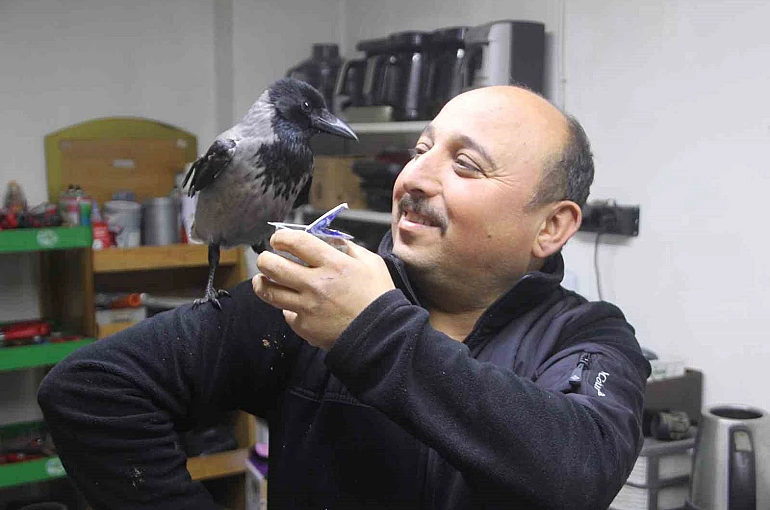 Tamirci çırağı karga 