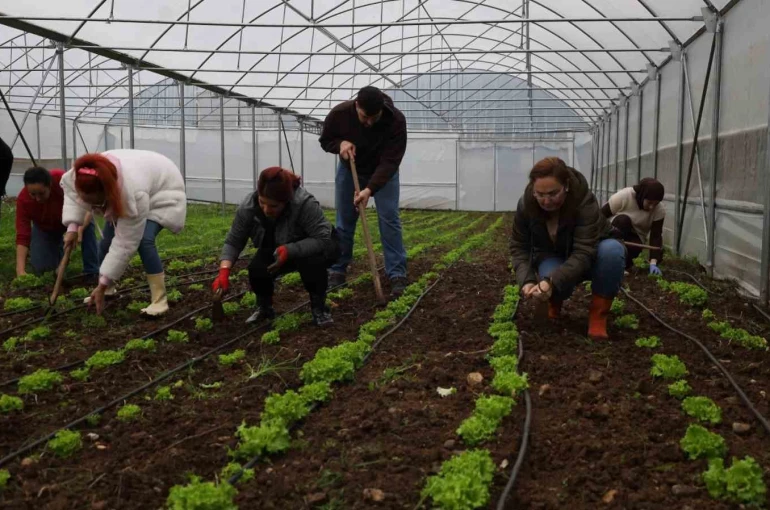 Tarım Akademisi’nde 16-55 yaş arası aday çiftçilere eğitim 