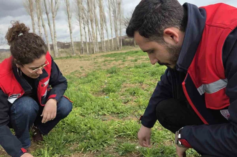 Tarım arazilerinde hastalık ve zararlı kontrolleri yapıldı 