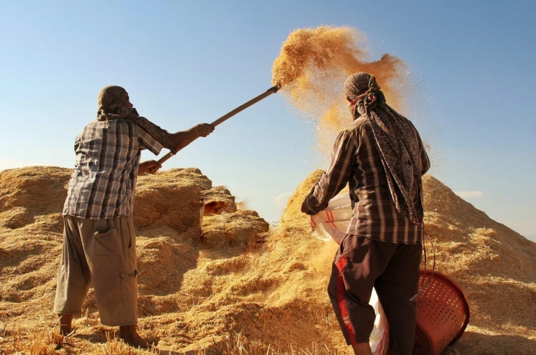 Tarım-GFE yıllık yüzde 34,60 arttı 