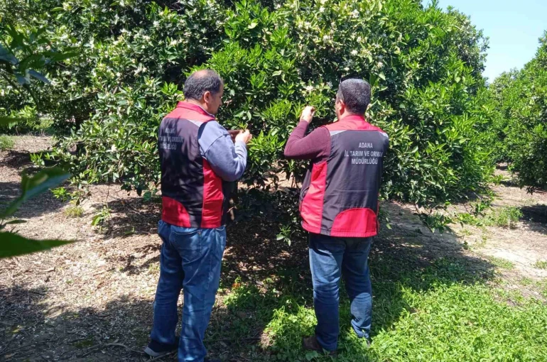 Tarımda biyolojik mücadele seferberliği 