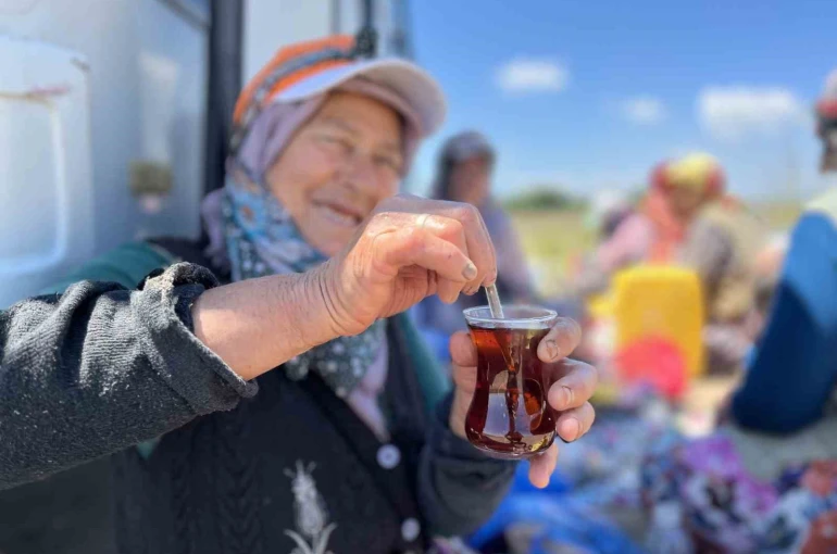 Tarlada yoruluyorlar odun ateşinde matarada çayla dinleniyorlar 