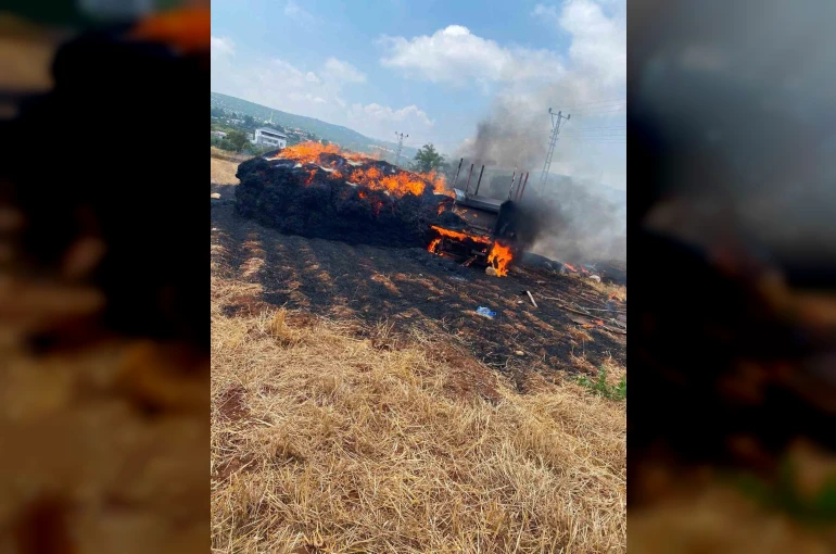 Tarsus’ta saman balyaları alevlere teslim oldu 