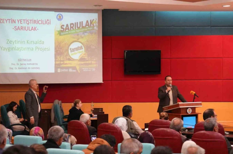 Tarsus’ta Sarıulak zeytini için üreticilere eğitim verildi