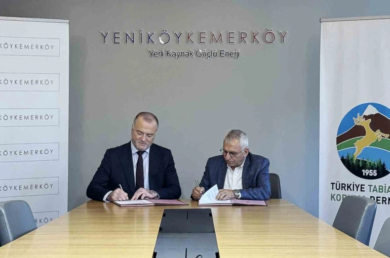 Taşınan zeytin ağaçlarını TTKD izleyecek 