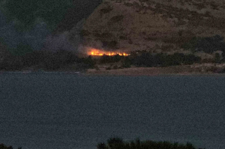 Tatvan’da orman yangını 