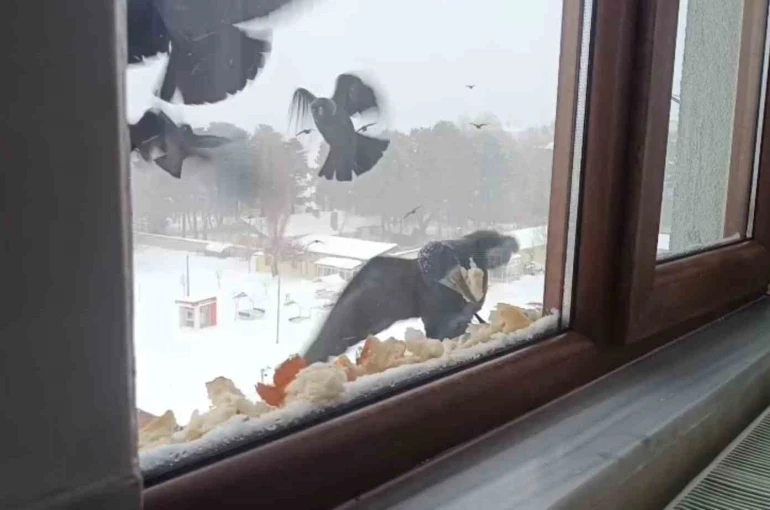 Tatvan’da yürekleri ısıtan davranış 