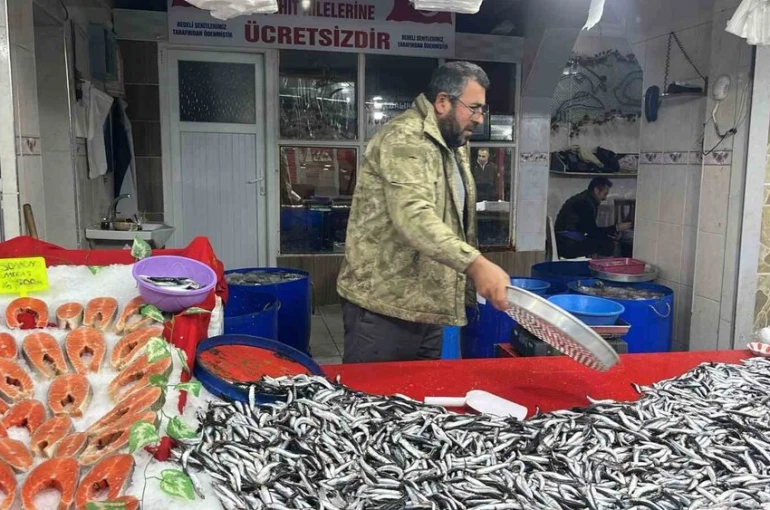 Tavşanlı balık pazarında en çok hamsi ilgi görüyor 