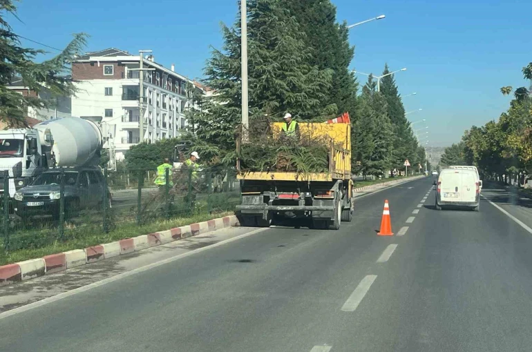 Tavşanlı Çevre Yolu, yapılan bakım ile güzelleşti 