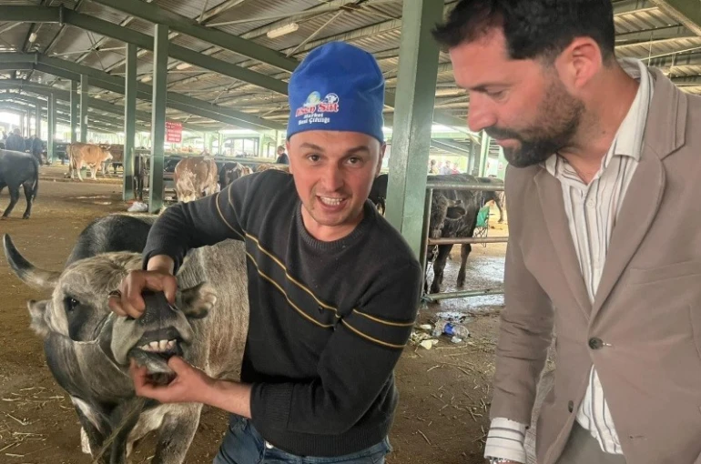 Tavşanlı hayvan pazarında bayram arefesi hareketliliği