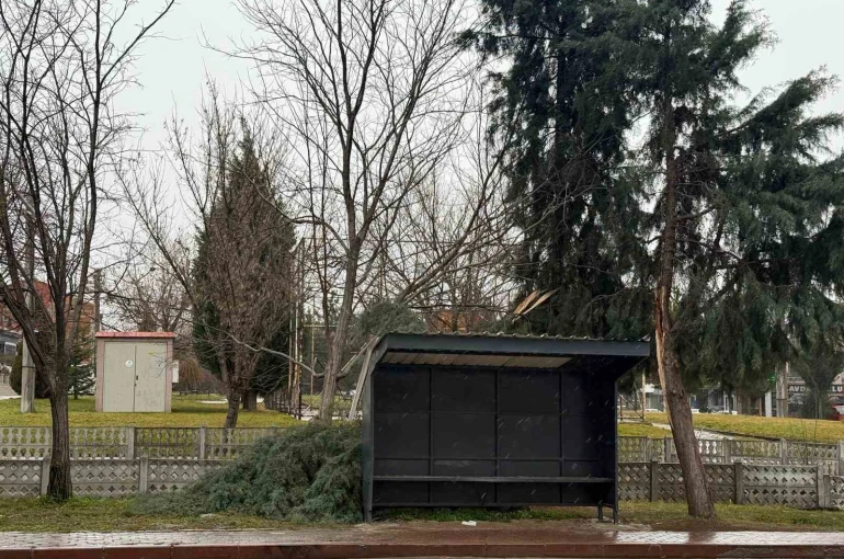 Tavşanlı’da şiddetli rüzgar ağaç devirdi 