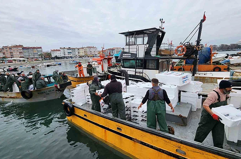 Tekirdağ açıklarında torik bereketi