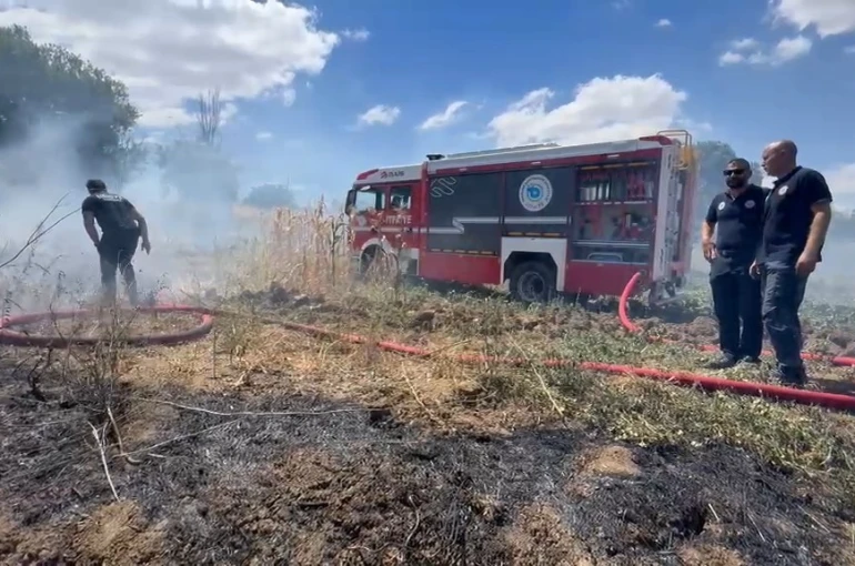 Tekirdağ’da anız yangını 100 dekarlık alana zarar verdi