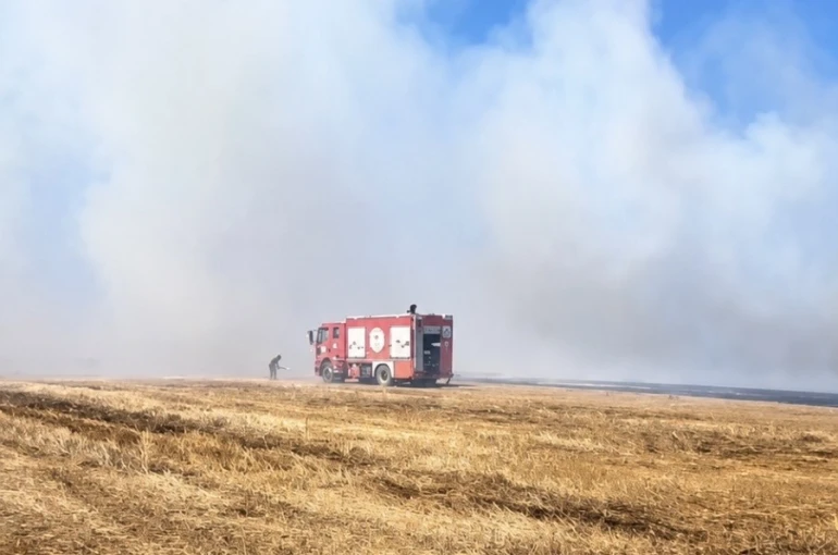 Tekirdağ’da anız yangını