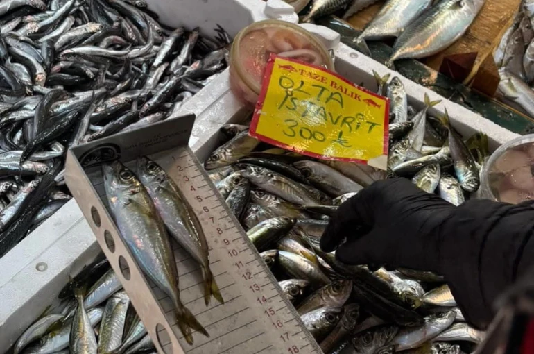 Tekirdağ’da balık tezgahlarına sıkı denetim: Boy ölçümleriyle sürdürülebilir avcılığa destek 