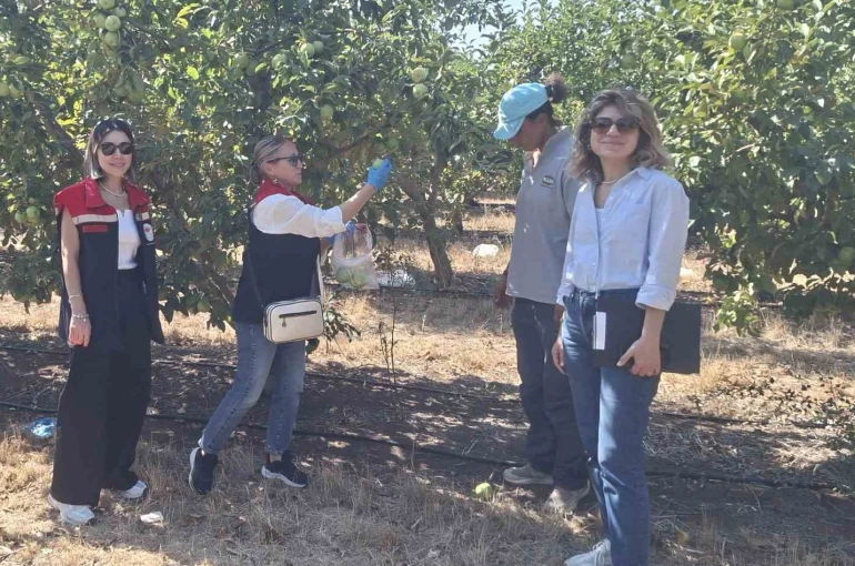 Tekirdağ’da hasat öncesi pestisit denetimleri yapılıyor