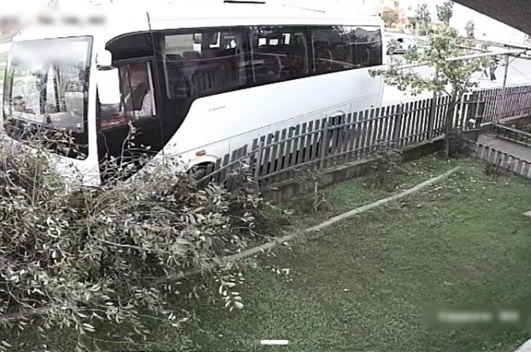 Tekirdağ’da servis minibüsü ağaca çarptı: 1 yaralı 