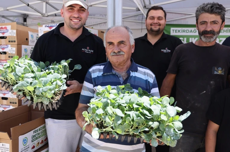Tekirdağ’da üreticiye kışlık sebze desteği: 104 bin fide dağıtılıyor