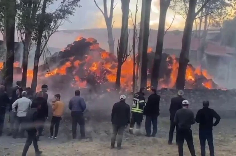 Tekman’da korkutan ot yangını 