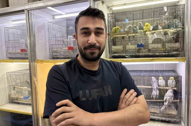 Teknoloji bağımlılığına karşı evcil hayvan önerisi 