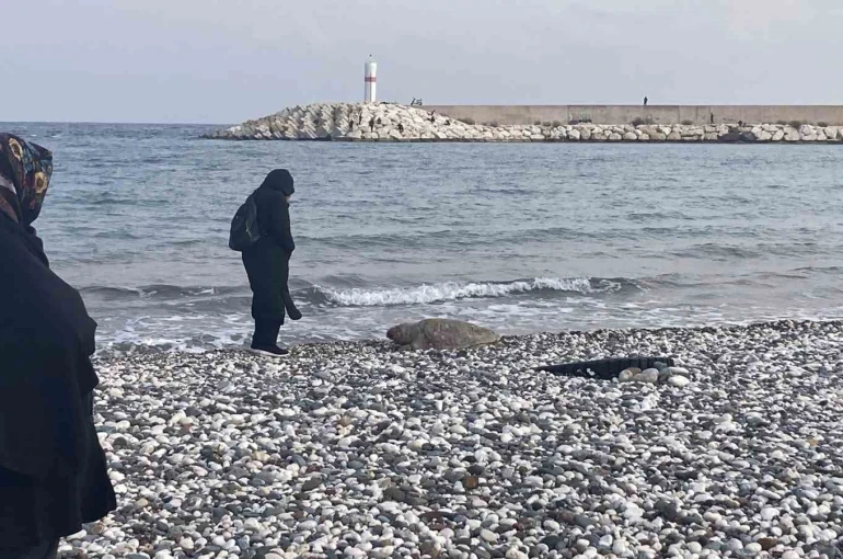 Telef olan caretta caretta halk plajına vurdu 