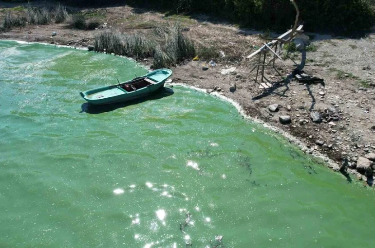 Terkos Gölü’nde endişelendiren görüntü