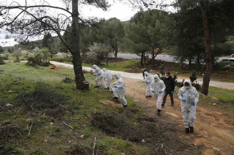 Terminatör böcekler iş başında