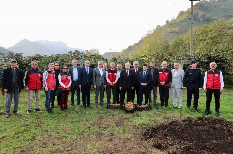 Tescilli Ordu kivisinde hasat başladı: İlin ekonomisine 520 milyon TL katkı 