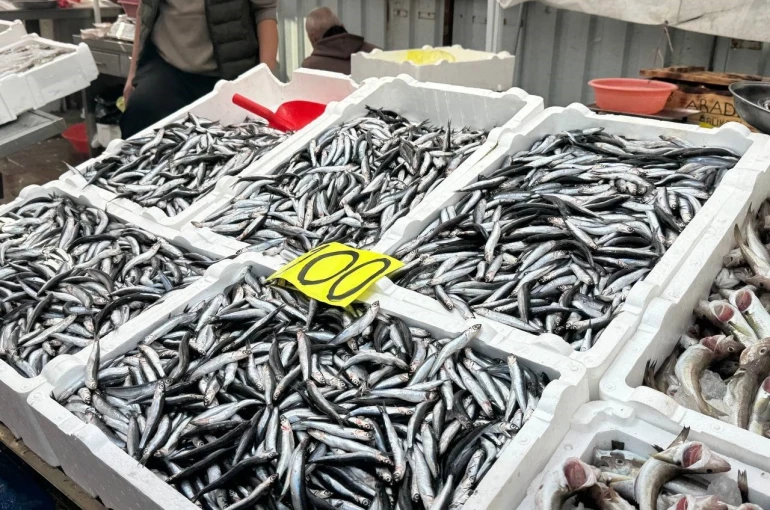 Tezgahta 100 liraya düşen hamsi yoğun ilgi gördü 