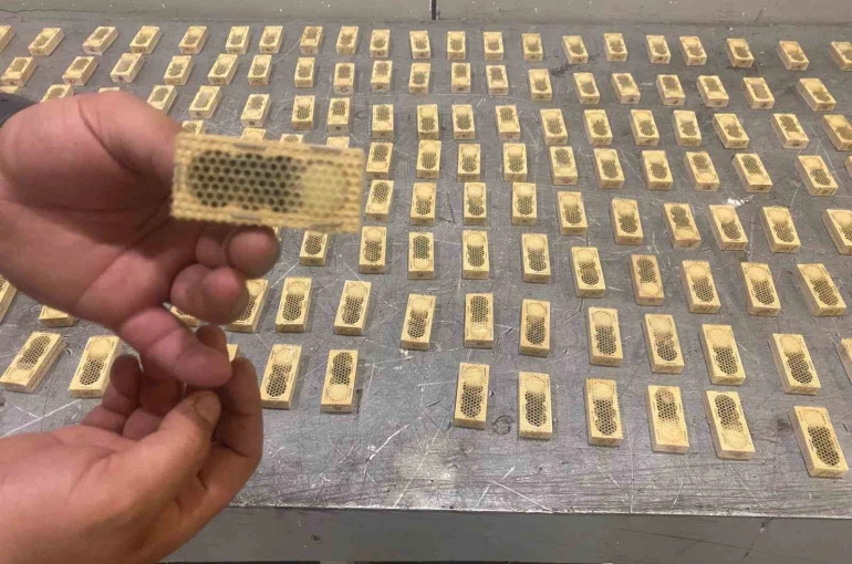 Ticaret Bakanlığı, 2025 yılında da kaçak canlı hayvan ticaretine geçit vermedi