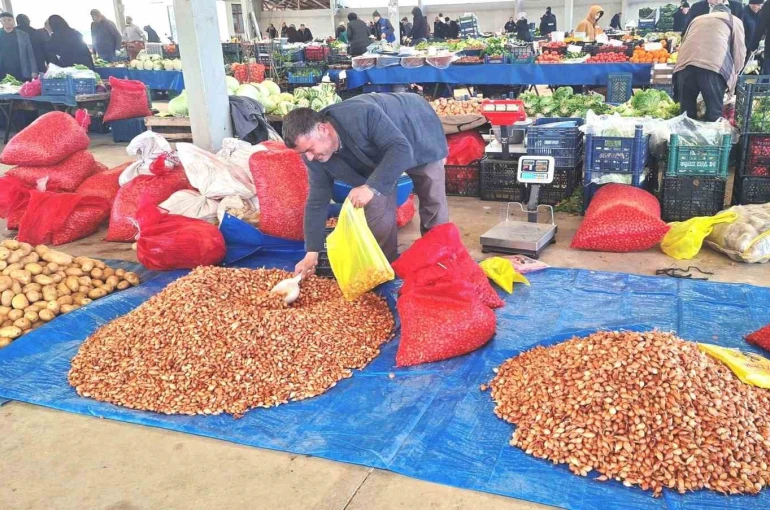 Tohumluk kuru soğanda üretim arttı, fiyat 150 liradan 100 liraya düştü