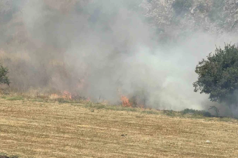 Tokat’ta otluk alandaki yangın büyümeden söndürüldü