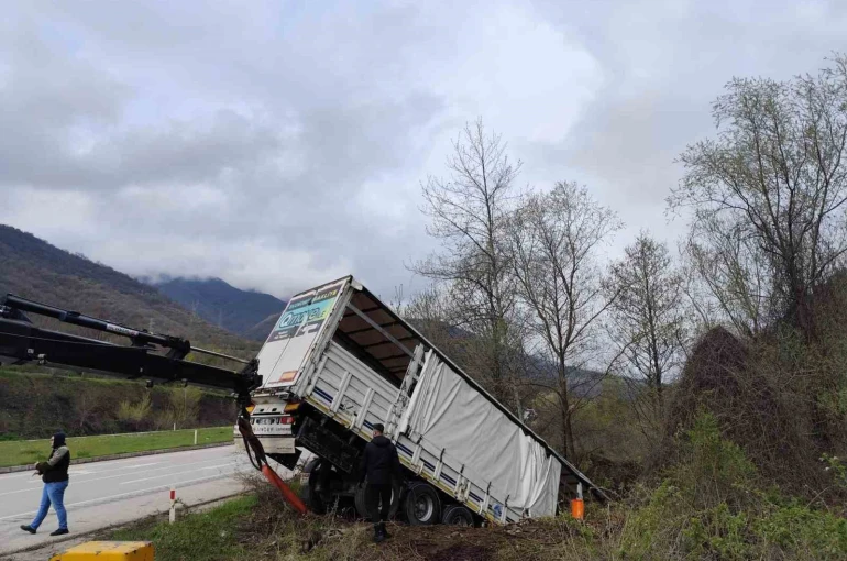 Tokat’ta tır devrildi: 3 kişi yaralandı, 6 hayvan telef oldu 