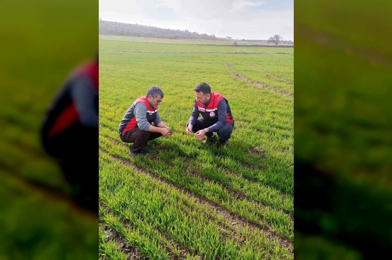 Tomarza’da zirai don uyarısı sonrası saha kontrolleri devam ediyor 