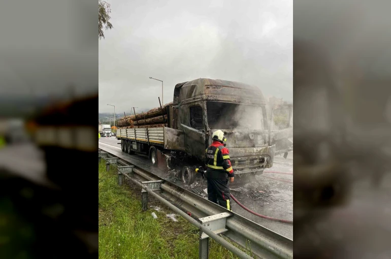 Tomruk yüklü tır alev topuna döndü 