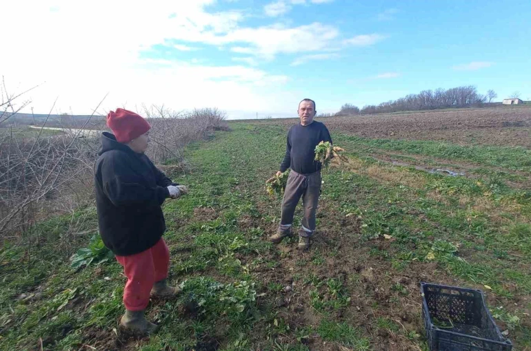 Toprağa emek, çocuklara gelecek: Karı-koca dört mevsim tarlada çalışıyor 