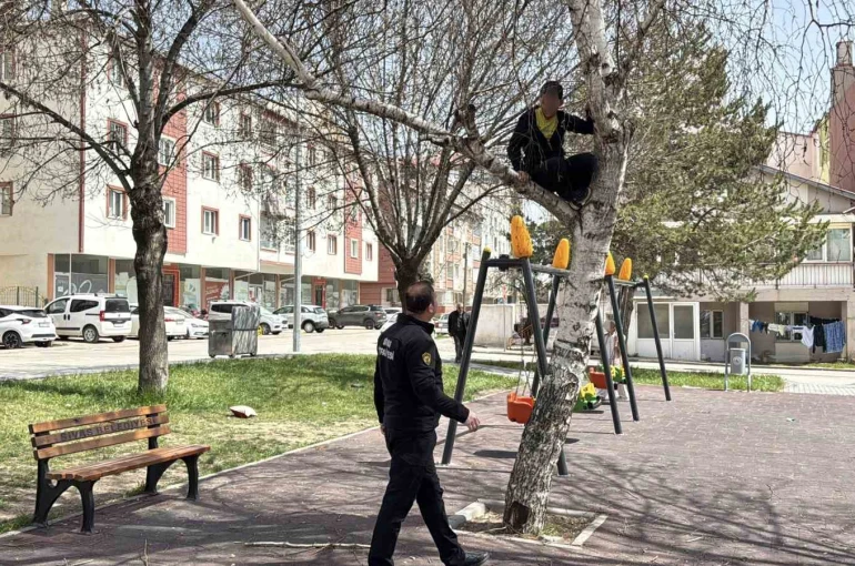 Topu almak için çıktığı ağaçtan inemeyen çocuk itfaiyeden yardım istedi 
