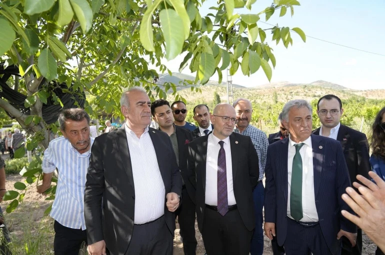 Trabzon hurması, dut ve incire destek ödemesi başladı 