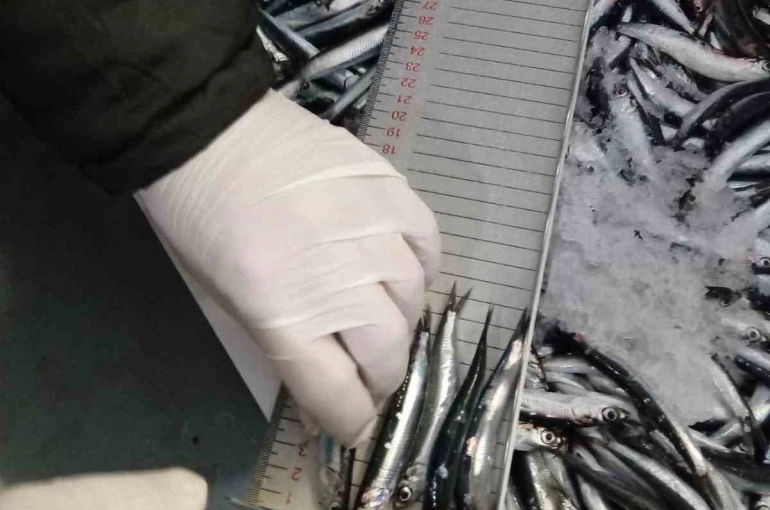 Trabzon’da 2025 yılında su ürünleri denetimlerinde 43 kişiye 3,2 milyon TL para cezası 