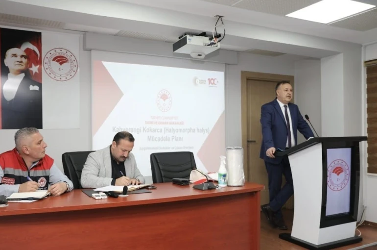 Trabzon’da kahverengi kokarca ile mücadelede yol haritası belirlendi 