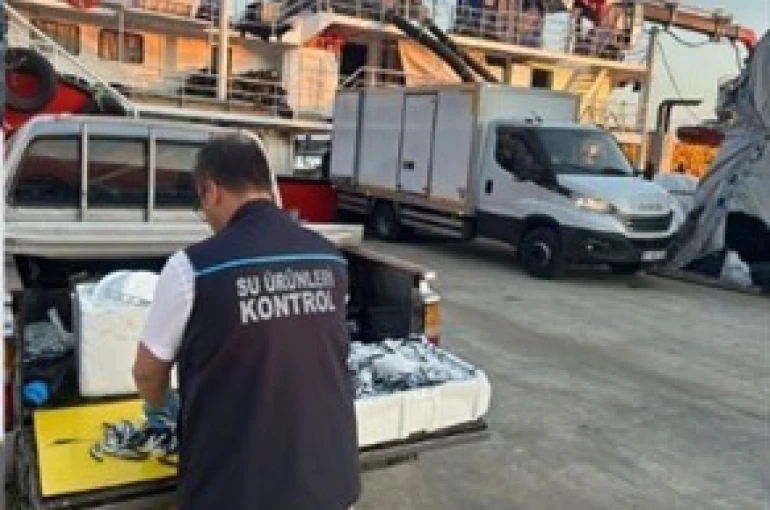 Trabzon’da usulsüz hamsi çıkışına 37 bin TL ceza