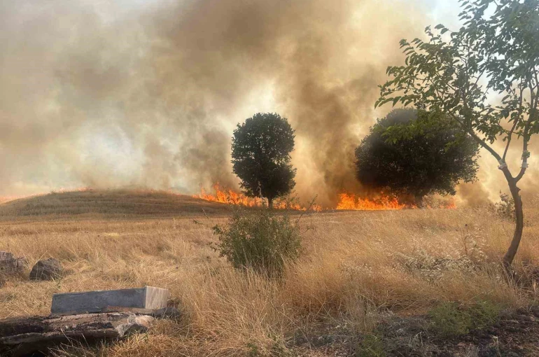 Trafo yangını ağaçlık alanı yok etti